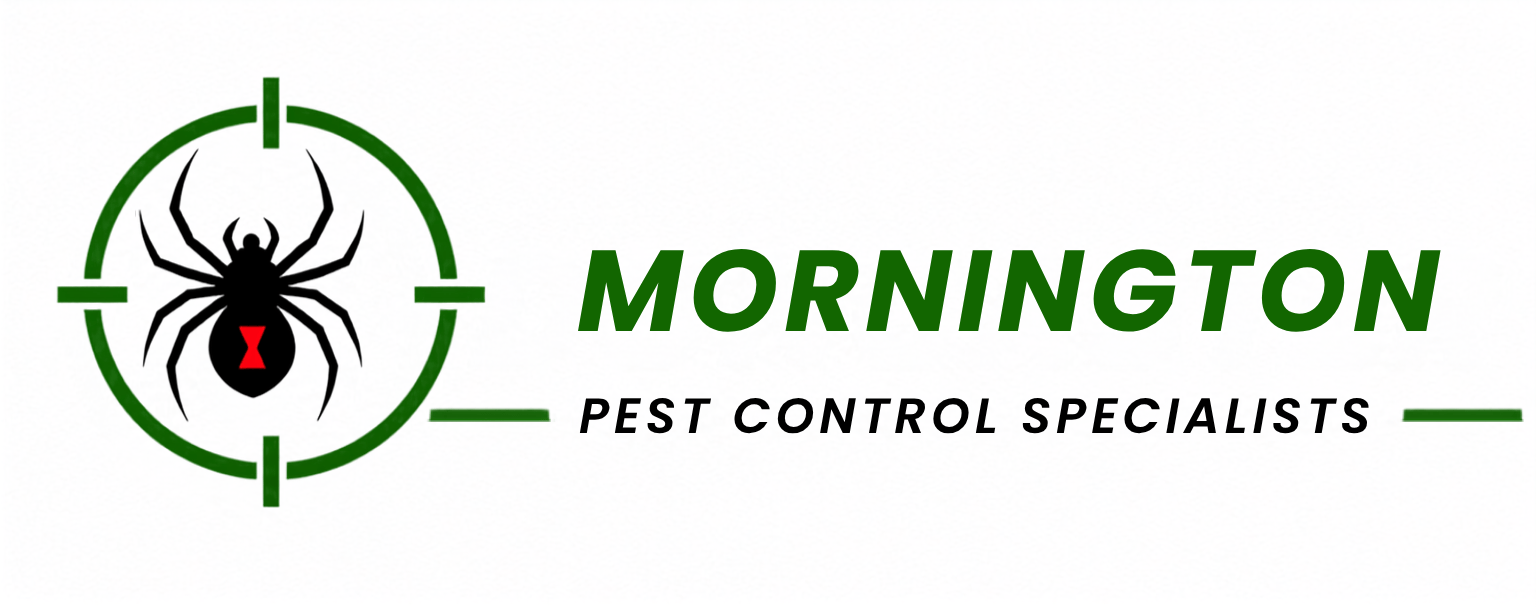 Pest Control Mornington